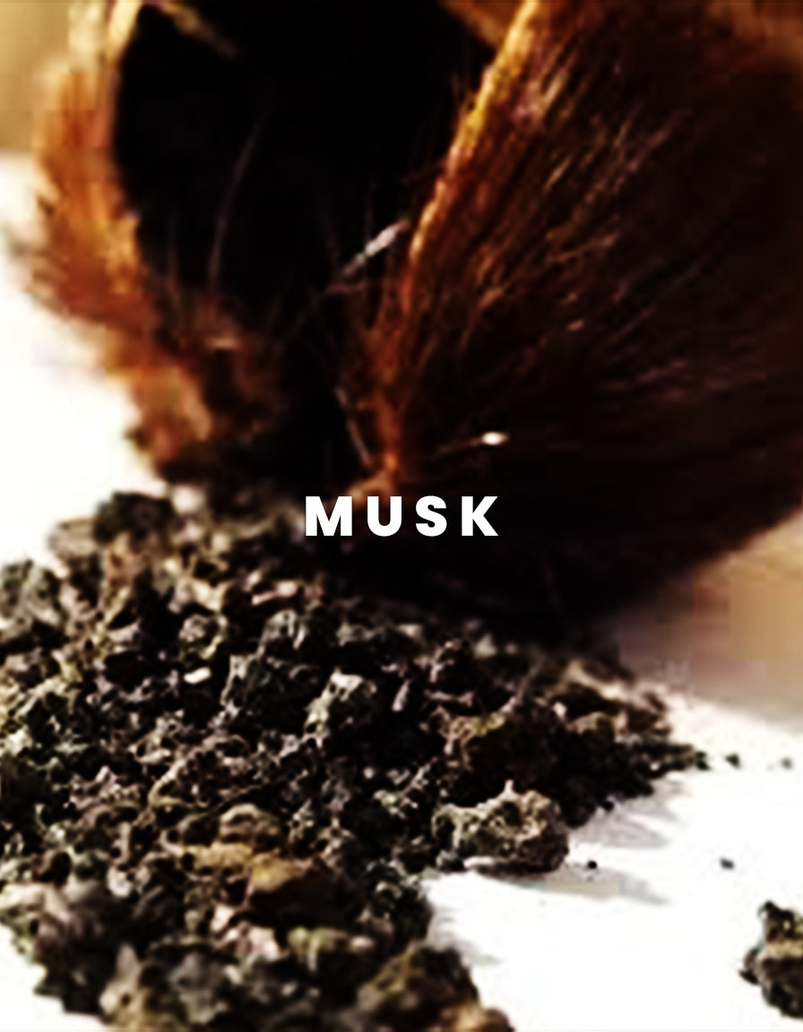 Tabeer - Arabian Oud Imported From Saudia