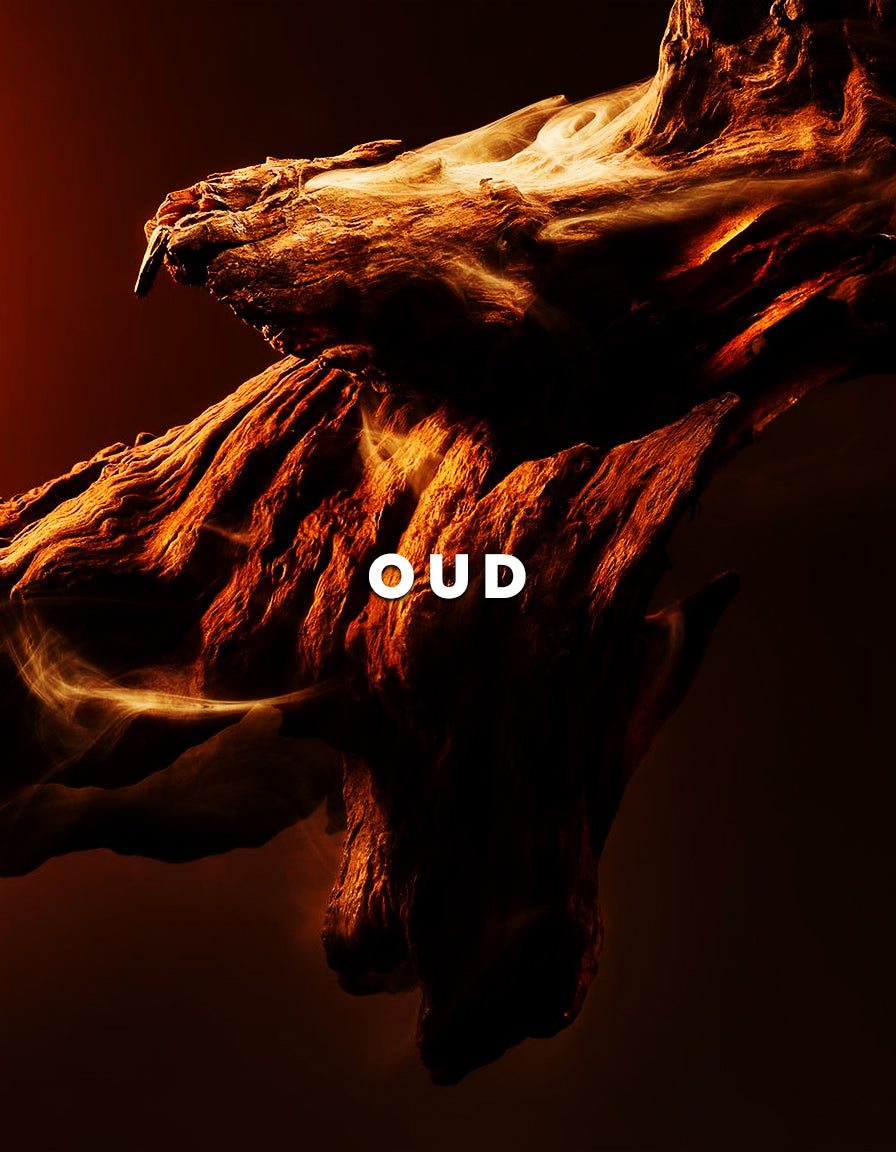 Tabeer - Arabian Oud Imported From Saudia